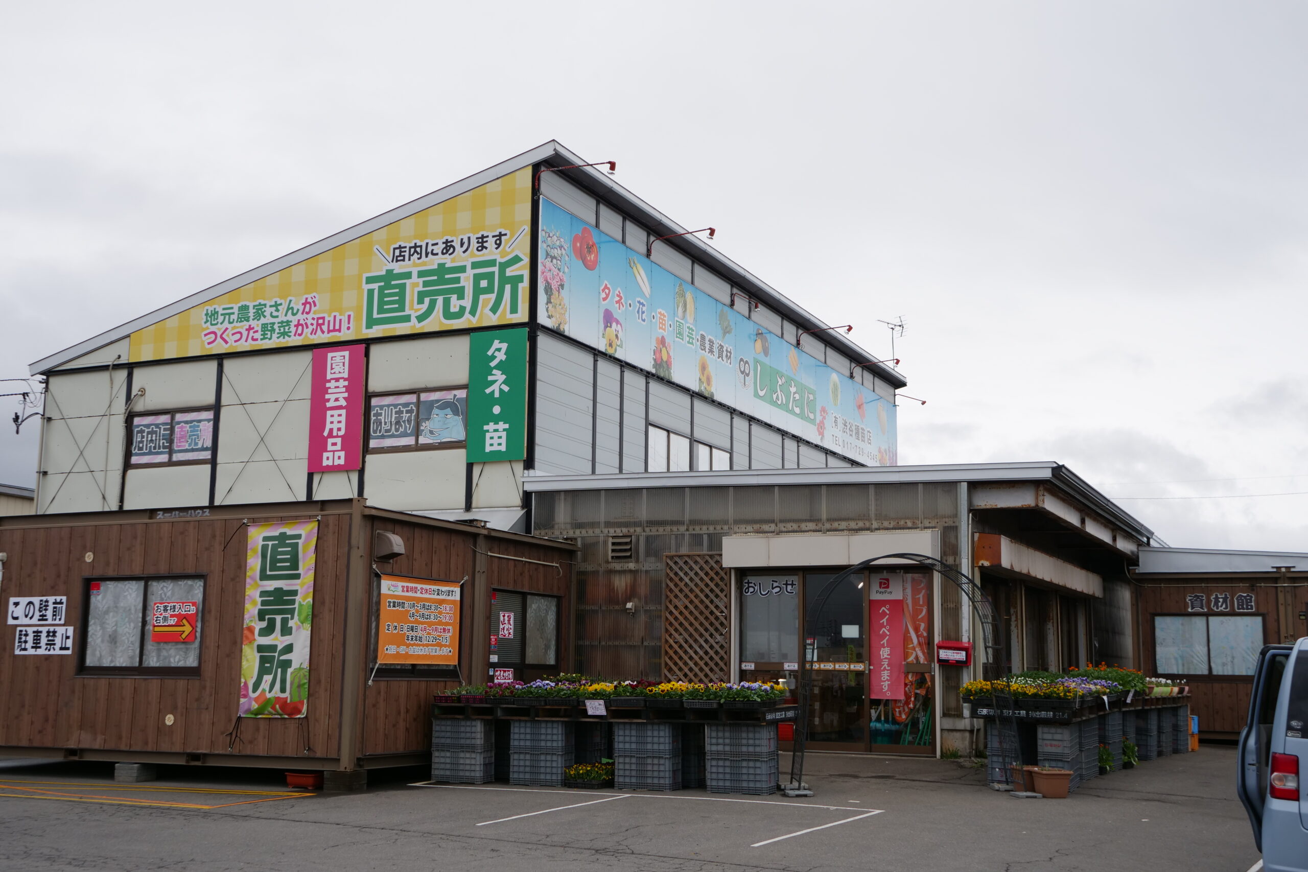 しぶたに